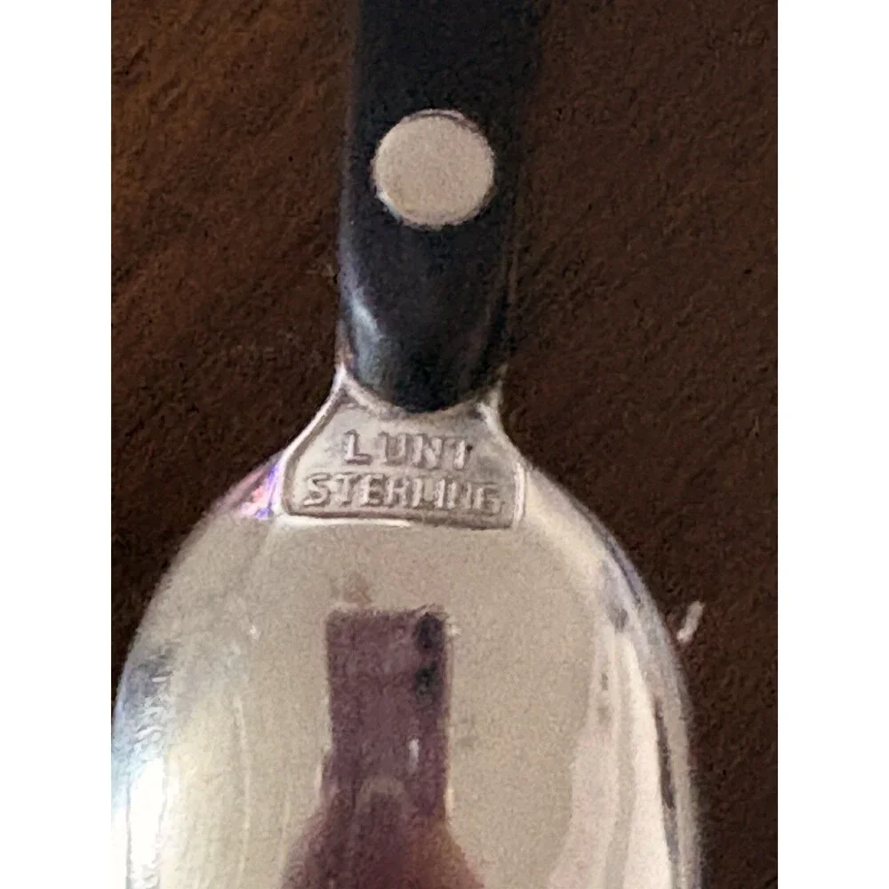 Vintage LUNT Contrast Sterling Silver.Ebony Serving Spoon,Seafood Spoon & Knives